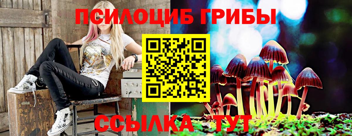 Псилоцибиновые грибы MAGIC MUSHROOMS  Галлюциногенные грибы GOLDEN TEACHER  закладка  Сокол  Вход с VPN 